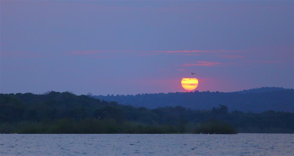 Rubondo Island Camp